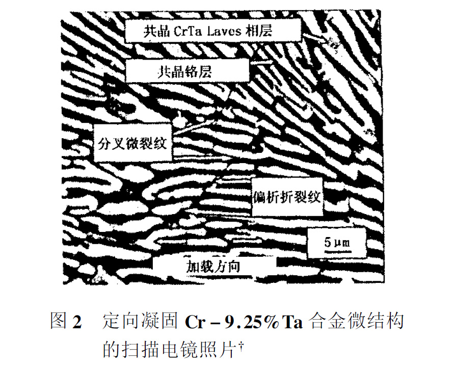 武器系统用钽