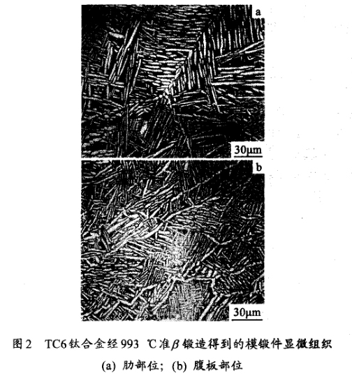 TC6钛合金经993 ℃准锻造得到的模锻件显微组织(a) 肋部位；(b) 腹板部位