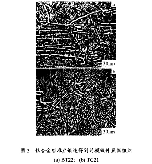 钛合金经β锻造造得到模锻件显微组织